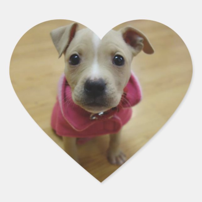 Buttercup Heart Sticker (Front)