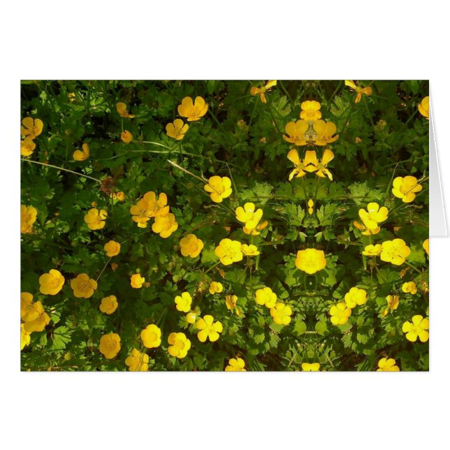 Buttercup Image Blank Card (Front Horizontal)