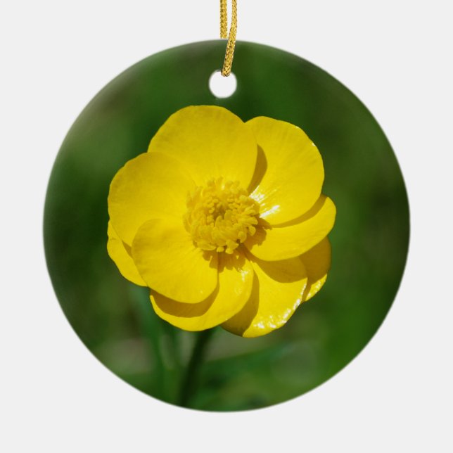 Buttercup ornament (Front)