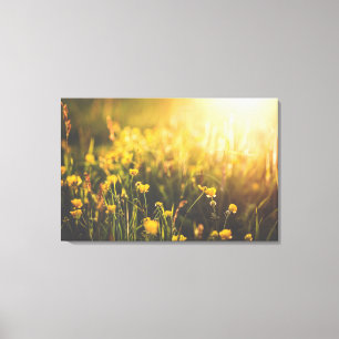 Buttercup Sundown Canvas Print
