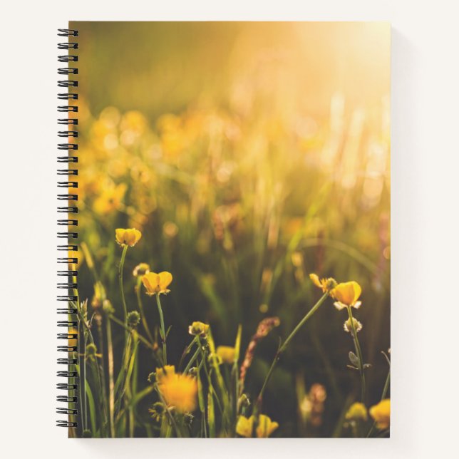 Buttercup Sundown Notebook (Front)