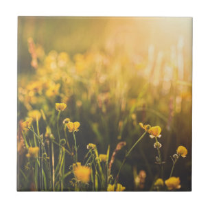 Buttercup Sundown Tile