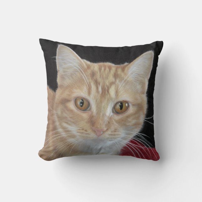 Buttercup the Orange Tabby Drawing Pillow (Front)