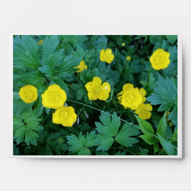 Buttercup Themed Envelope (Front)