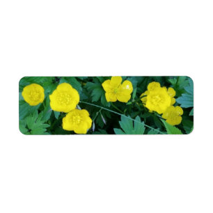 Buttercup Themed Labels