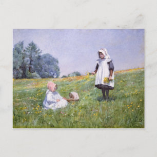 Buttercups and Daisies Postcard