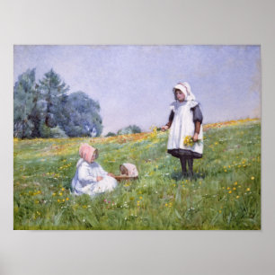 Buttercups and Daisies Poster
