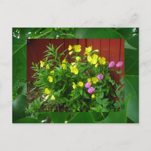 Buttercups and leaves postcard