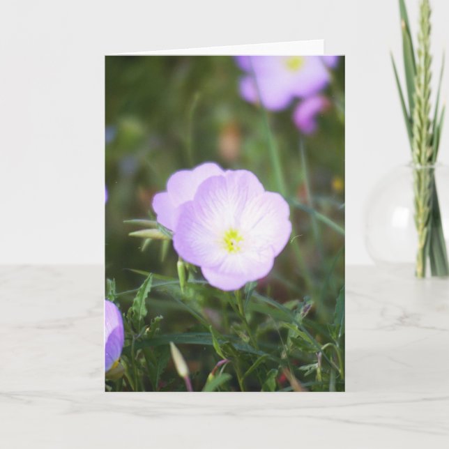 Buttercups Card (Front)