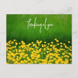 Buttercups Thinking of you Postcard