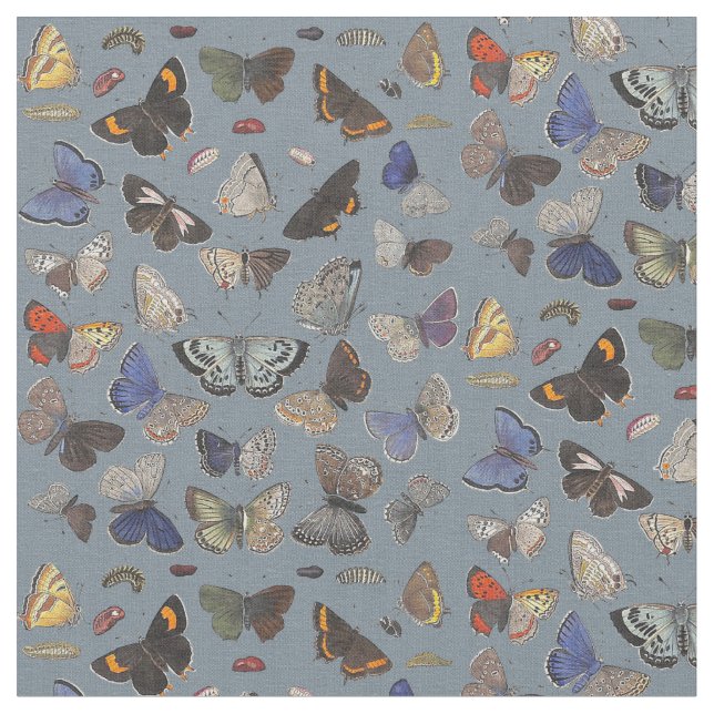 Butterflies, 1842 fabric (Close Up)