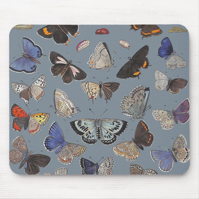 Butterflies, 1842 mouse mat (Front)