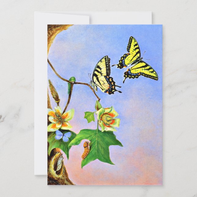 Butterflies, 1878 painting card (Front)