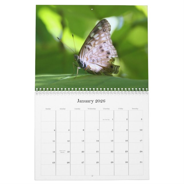 Butterflies 2011 Calendar (Jan 2026)