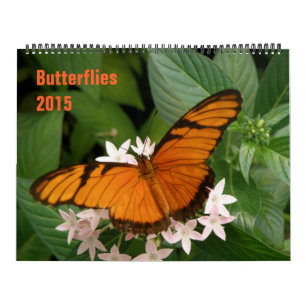 Butterflies 2015 Calendar