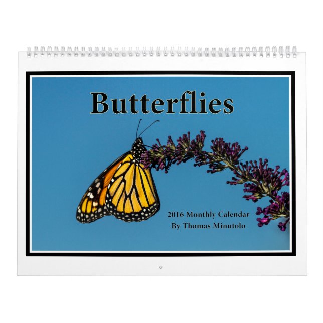 Butterflies 2016 Monthly Calendar By Tom Minutolo (Cover)