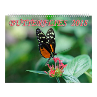 Butterflies 2018 calendar