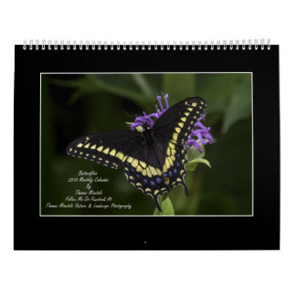 Butterflies 2018 Monthly Calendar By Tom Minutolo