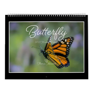 Butterflies 2023 Calendar By Tom Minutolo