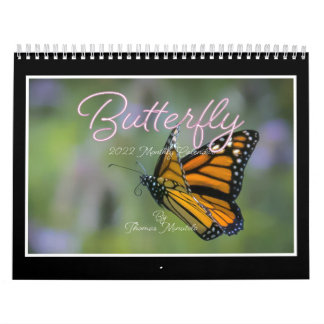 Butterflies 2023 Calendar By Tom Minutolo