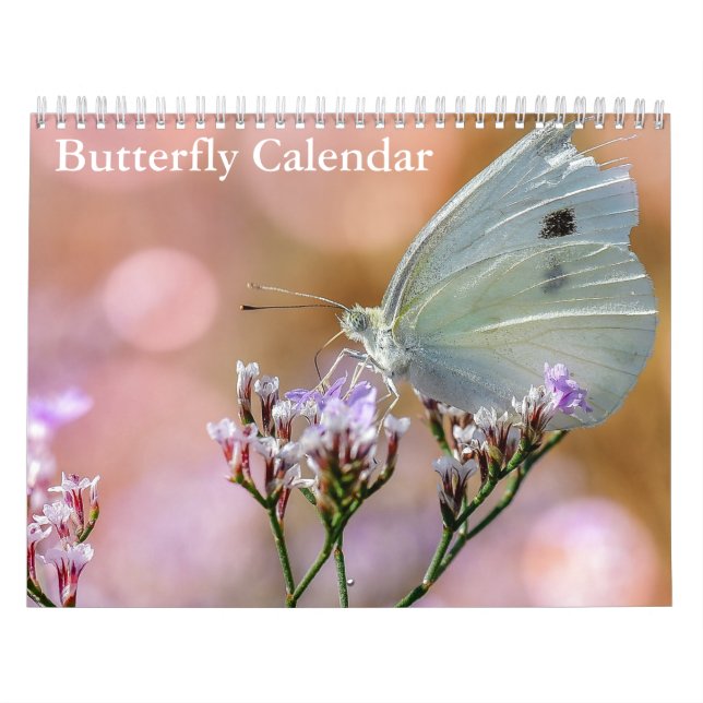 Butterflies 2024 calendar (Cover)