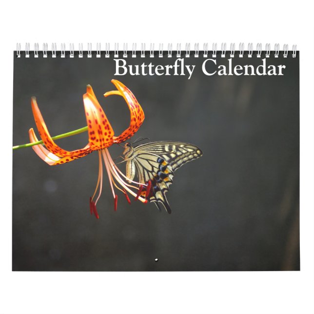 Butterflies 2025 calendar (Cover)