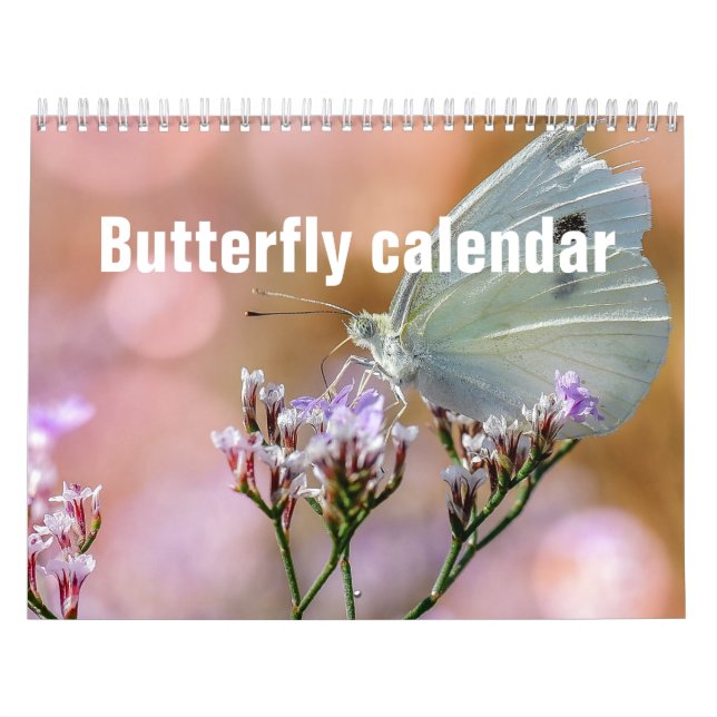 Butterflies 2026 calendar (Cover)