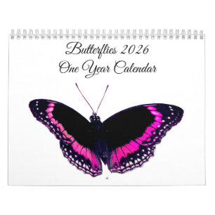Butterflies 2026 One Year Calendar