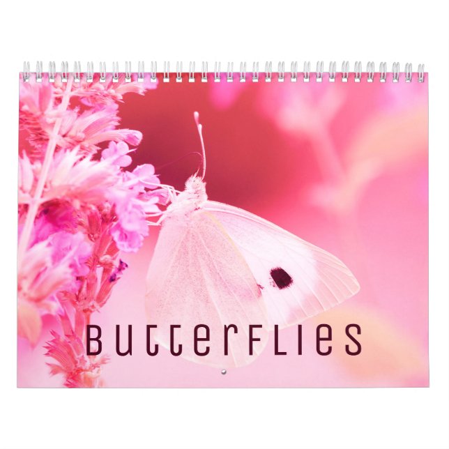 Butterflies [2] Wall Calendar (Cover)