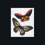 Butterflies 3 canvas print<br><div class="desc">Animals & Nature</div>