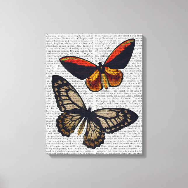 Butterflies 3 canvas print (Front)
