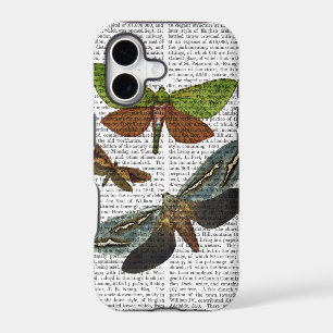 Butterflies 4