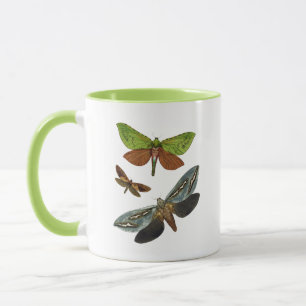 Butterflies 4 mug