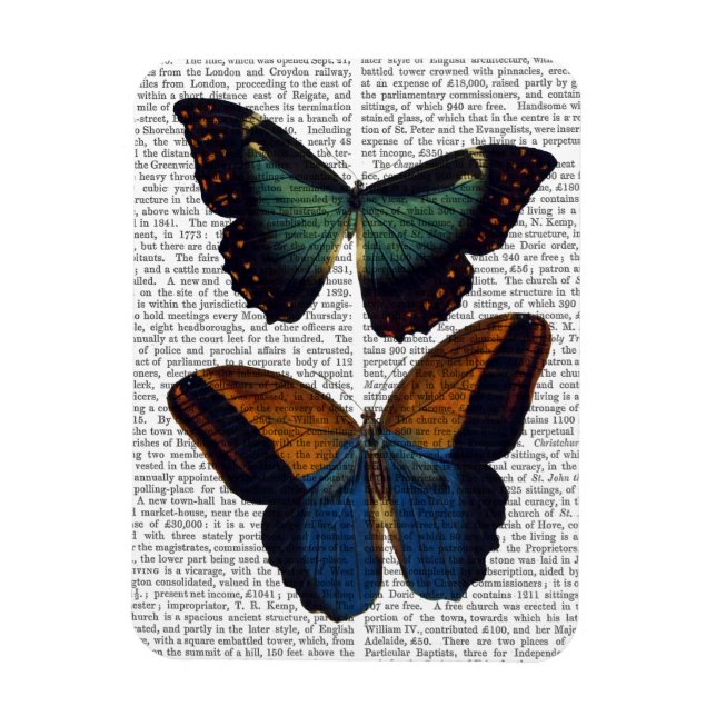 Butterflies 5 magnet (Vertical)