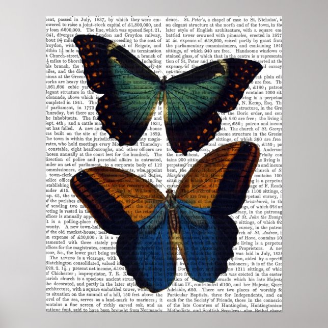 Butterflies 5 poster (Front)