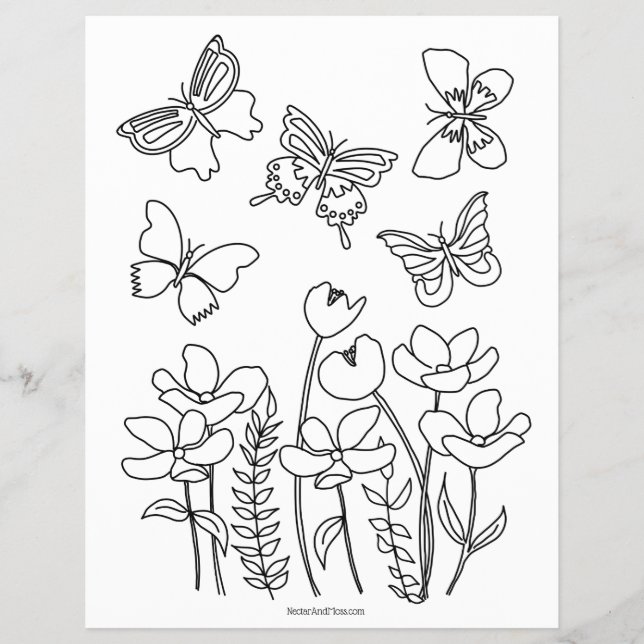 Butterflies and Blooms Colouring Page (Front)
