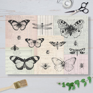 Butterflies and Bugs Tissue Paper