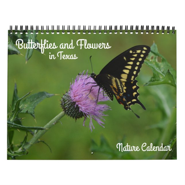 Butterflies and Flowers in Texas Nature Calendar (Cover)