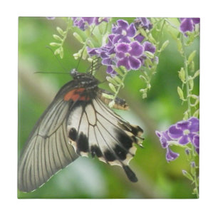 Butterflies and Flowers Tile