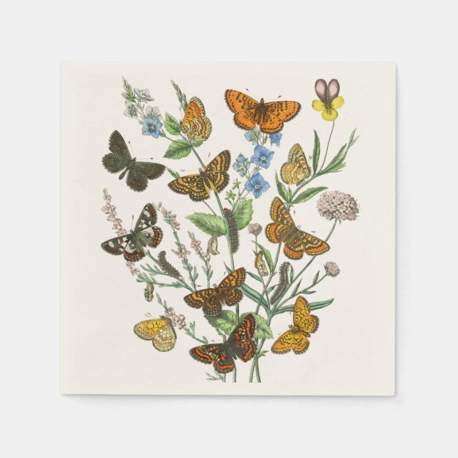 Butterflies and Flowers Vintage Illustration 1 Napkin (Front)