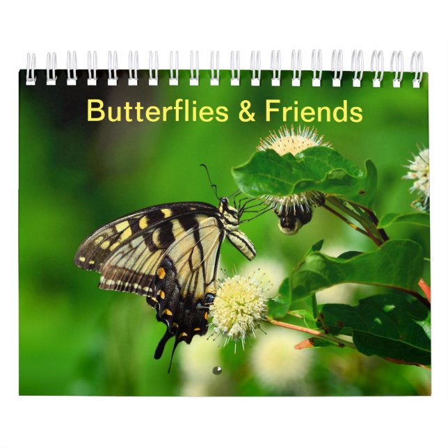 Butterflies and Friends Calendar (Cover)