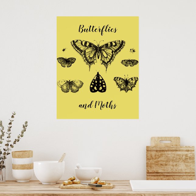 Butterflies and Moths Vintage Print (Kitchen)