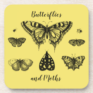Butterflies and Moths Vintage Print Coaster
