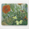 Butterflies and Poppies Vincent van Gogh