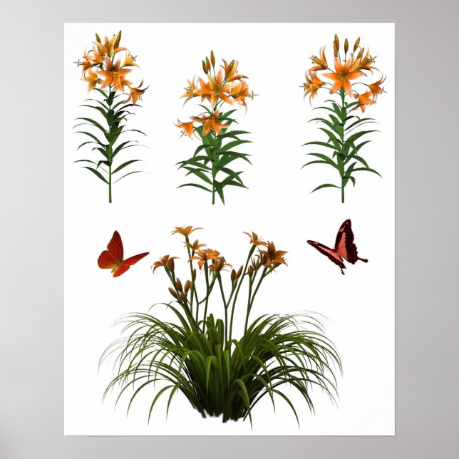 Butterflies And Tiger Lilies Poster (Front)