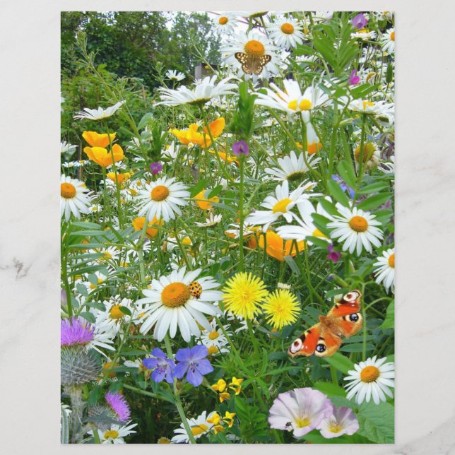 Butterflies and Wildflowers (Front)