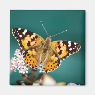 Butterflies are free magnet