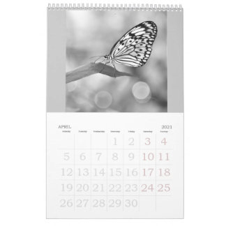 Butterflies are still free - a 2024 Calendar