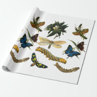 Butterflies Beetle Bugs Insects Collage Art