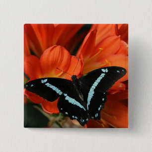 Butterflies BLUEY 15 Cm Square Badge